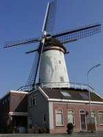 Molen
